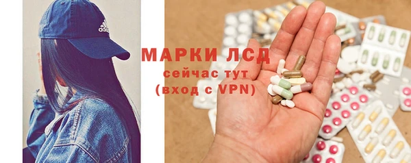 крисы Дмитров