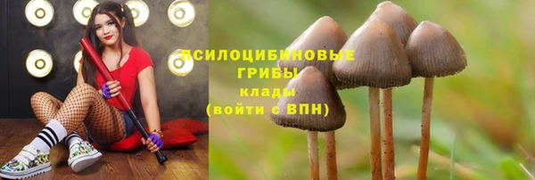 бутик Гусев