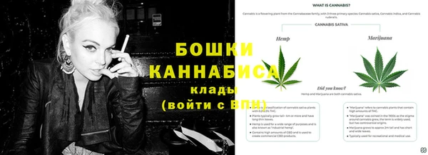 крисы Дмитров
